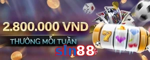 sln88